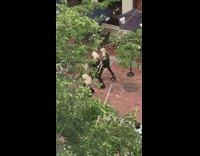 Four men wears blonde wig and same outfit strut