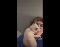 White cat jumps on girls face when she makes noises 