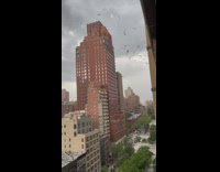 collab winy - Pieces from rooftop fly through the air with wind 