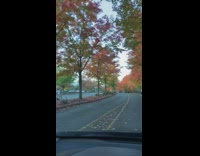 People pose side of street autumn trees 