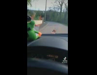 Woman holding onto the hood of car falls off backwards when car stops 