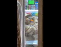 Gold human statue performer drink orange gatorade