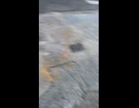 Collab WINY - Man in Electric Mini-cart Drives Through Crosswalk