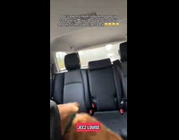 Car brakes dog rolls backseat