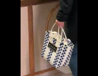 Lady Carries Bag with Pet Duck in it