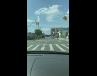 White chicken walks around street