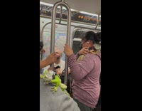 Two people on subway with iguanas on shoulders