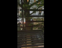 Garbage Truck Honks at Spectrum Van