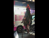 Christmas tree rides bike 