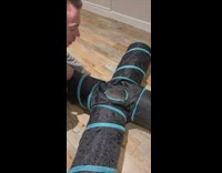 Cat pops out of hole in middle of tunnel 