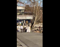 Woman white dress white blanket park commentary