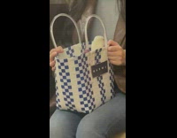 Duck inside the basket at train with woman at NY 