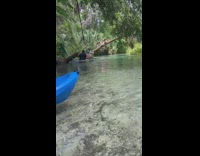 Woman climbs and lie down on inclined tree river Part 2