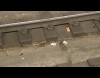 two rats on train tracks fighting over food