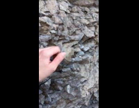 Submitter gets and throw rock from mountain