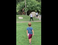 Guy black shorts handstand grass Head statue