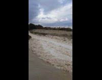 Sea Foam Flows Out of Creek Drain