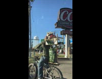 Two small dogs ride in basket cage on the back of bike