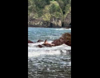 Woman moved by waves and crashes photoshoot