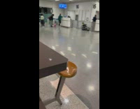 Dog dyed bright pink spotted at airport