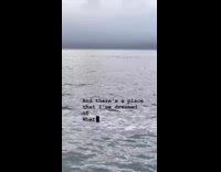 Collab PubityPets - Fog Envelops City Buildings from Other End