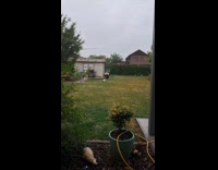 Dog fetches ball thrown on wet yard