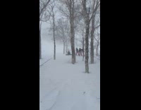 People ski boards photoshoot at snow storm