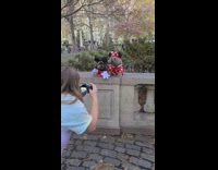 Two dogs mickey and minie mouse costume