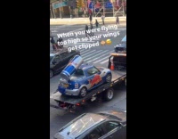 Red Bull car on trunk of truck