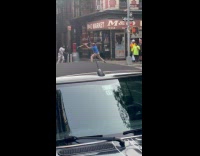 Collab WINY - Two guys fight throw scooter and bottle