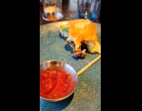 Seagull wait food on other side of window