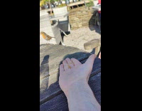 Bird take some crumbs from guy hand