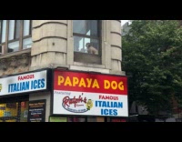 Dog on window above Papaya Dog store