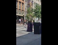 White shirt girl tree in purple suitcase 