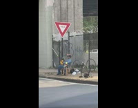 Guy reads book watermelon side of road 