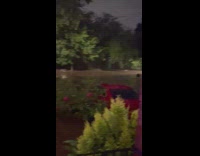 Staten Island flooded cars and trees 