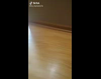 Trying scary video filter on dolls in house