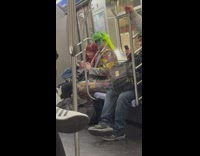 Person wears green hair on train 