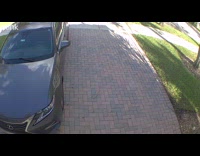 Two squirrels play on driveway under car