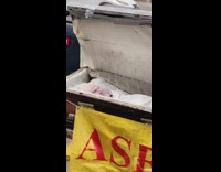 asbestos kills yellow sign coffin in street