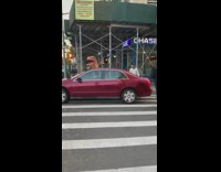 White dog barks at inflatable dinosaur costume