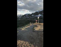 Guy waves two red flags around mountain 