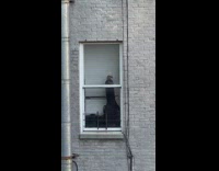 Squirrel standing atop a guitar case leaned against a window