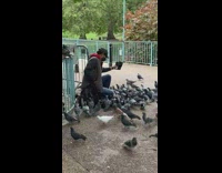 Man selfie phone flock of pigeon park