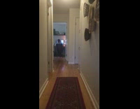 music guy playing music and cat running across hallway 