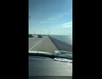 Men with flat tire helps bird 