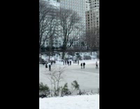 People ignores signage skates at Central Park 