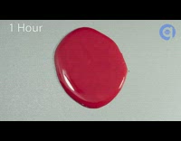 Puddle of blood rot time lapse crushed