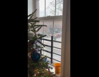 Singing float surprise on Christmas day parade