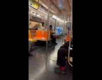 Huge blue elephant plushy on train seat